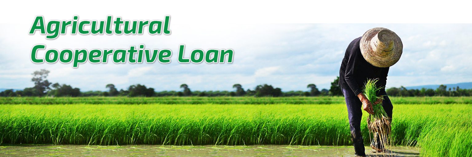 Loans | Agricultural And Rural Development Bank