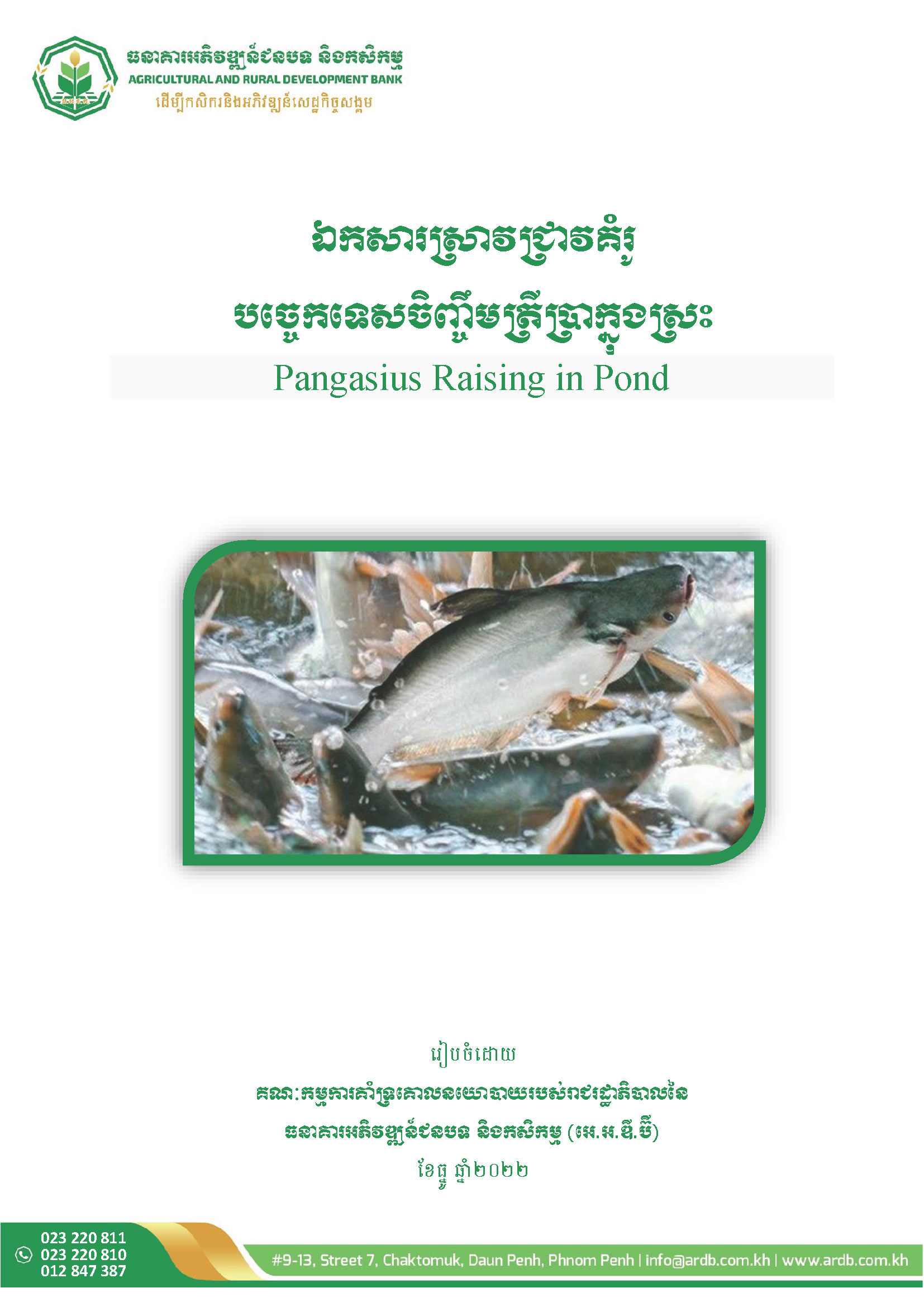 Pangasius Raising in Pond