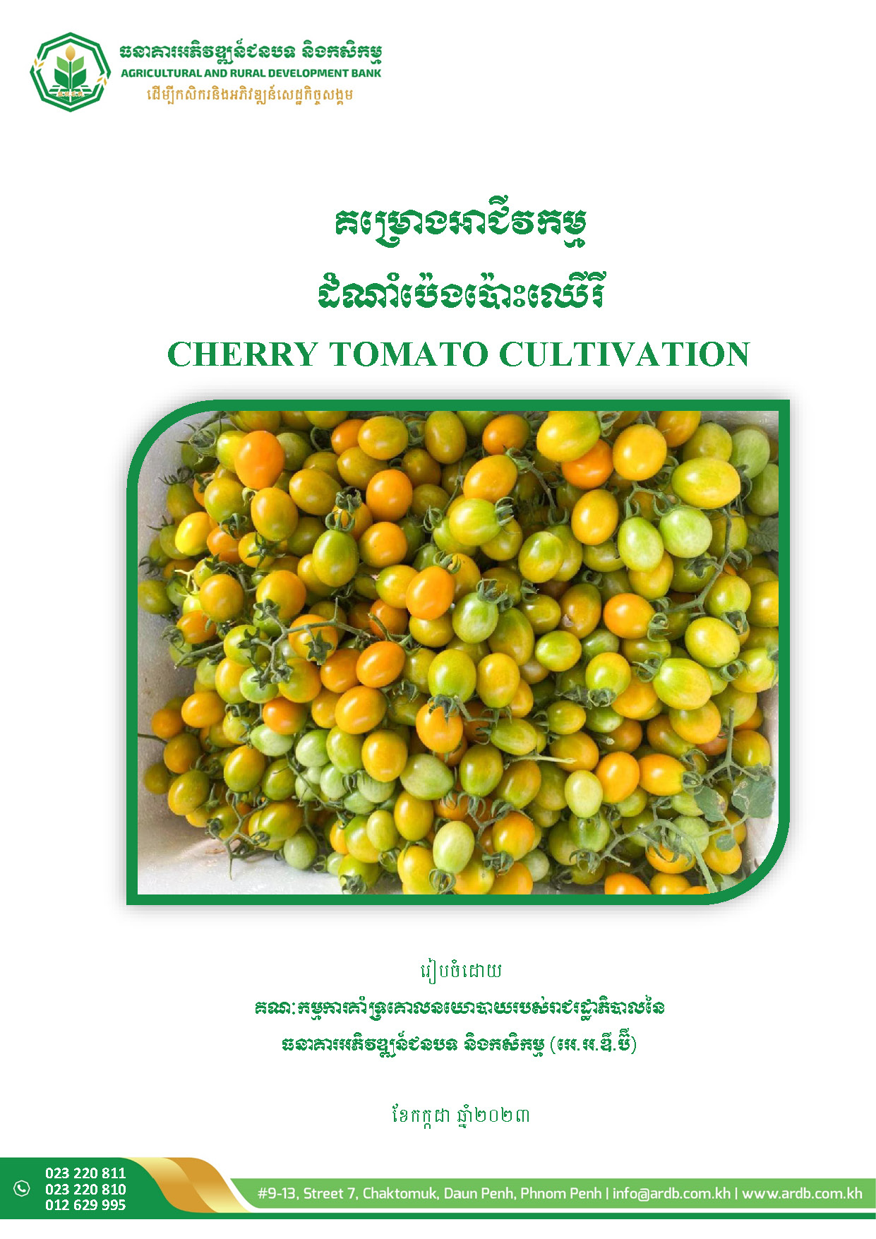 Cherry Tomato Cultivation